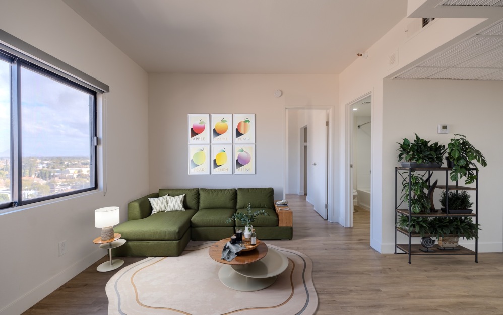 A1 - 1 bedroom floorplan layout with 1 bathroom and 447 square feet (Living Room)